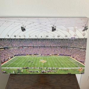 Minnesota Vikings Metrodome Poster